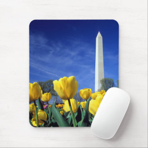 Monumenten   Washington Monument in Spring Muismat
