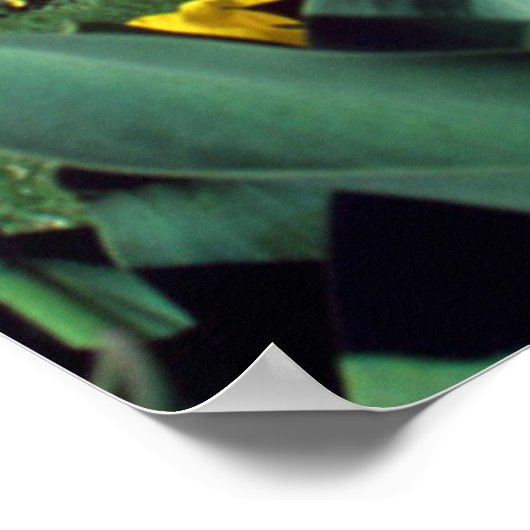 Monumenten | Washington Monument in Spring Poster (Hoek)