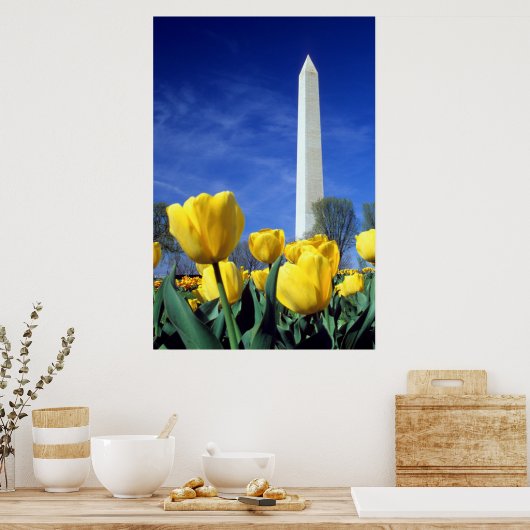 Monumenten | Washington Monument in Spring Poster (Keuken)