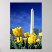 Monumenten | Washington Monument in Spring Poster (Voorkant)