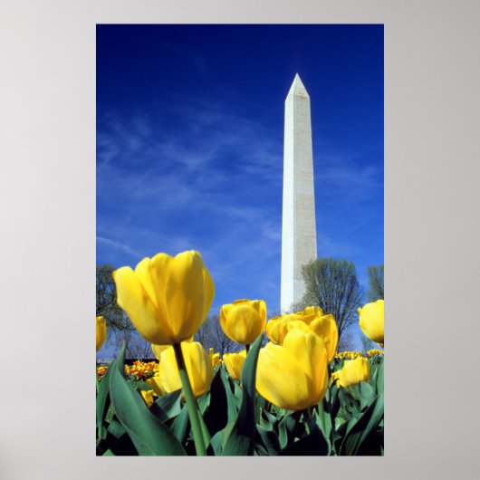 Monumenten | Washington Monument in Spring Poster (Voorkant)