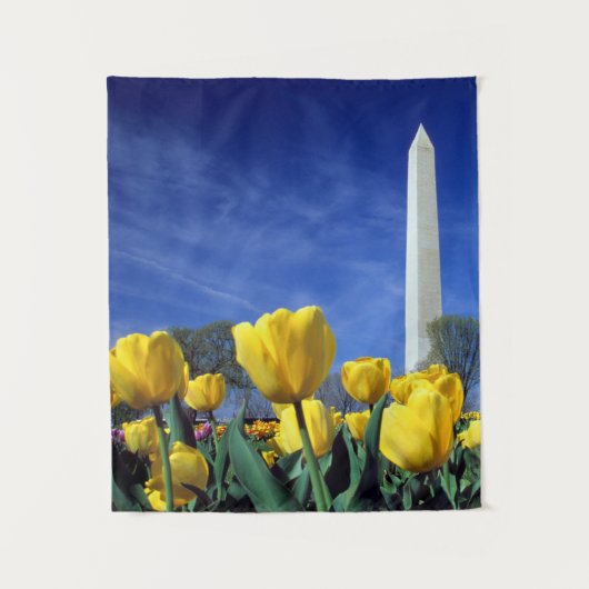 Monumenten | Washington Monument in Spring Wandkleed (Voorkant)