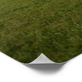 Monumenten Washington Monument with Flags Poster (Hoek)