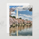 Monuments | Washington Memorial Briefkaart (Voorkant / Achterkant)
