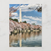 Monuments | Washington Memorial Briefkaart (Voorkant)
