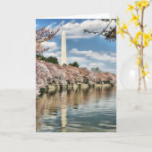 Monuments | Washington Memorial Kaart (Gele Bloem)