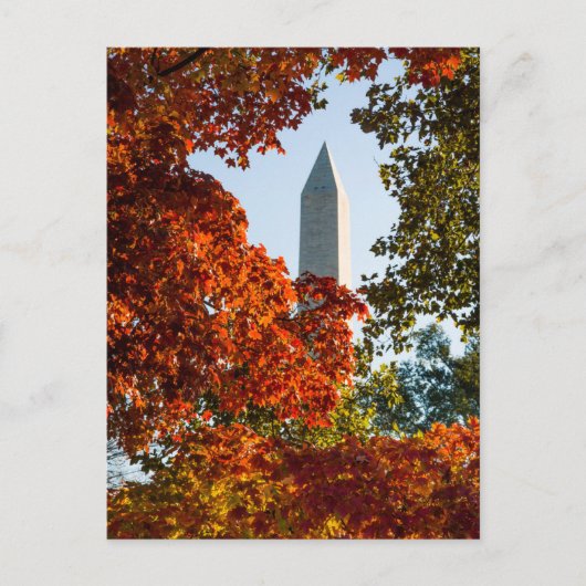 Monuments | Washington Monument in Autumn Briefkaart (Voorkant)