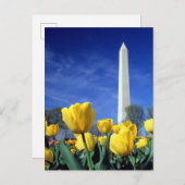 Monuments | Washington Monument in Spring Briefkaart (Voorkant / Achterkant)