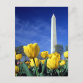Monuments | Washington Monument in Spring Briefkaart (Voorkant)