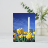 Monuments | Washington Monument in Spring Briefkaart (Staand voorkant)