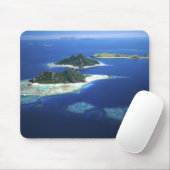 Monuriki, Monu en Yanuya, Mamanuca Muismat (Met muis)