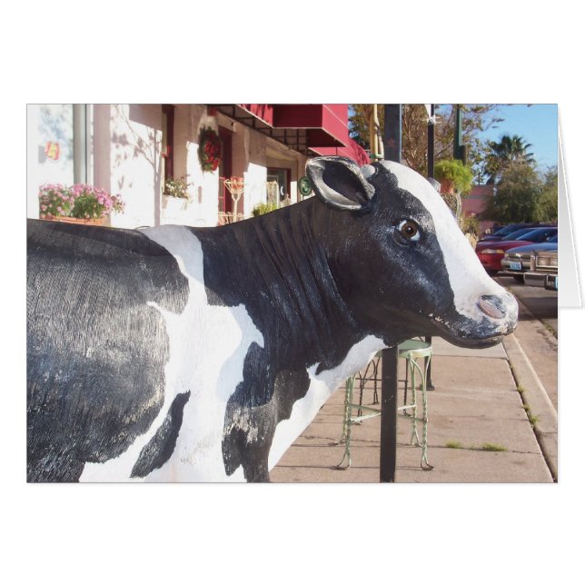 Moo (Voorkant Horizontaal)