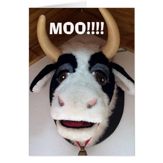 MOO-"40" IS IETS OM KOE TE GEBRUIKEN (Voorkant)