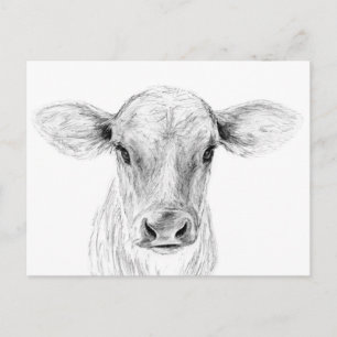 Moo A Young Jersey Cow Briefkaart
