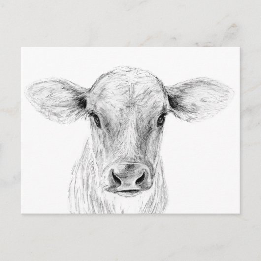 Moo A Young Jersey Cow Briefkaart (Voorkant)