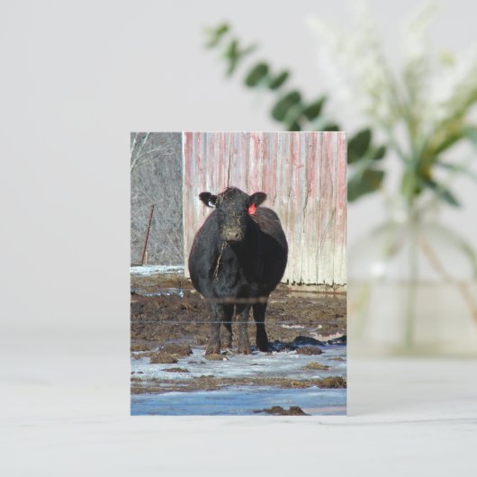 Moo Briefkaart (Staand voorkant)