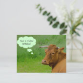 Moo! Cute koe wenst een versoepeld Briefkaart voor (Staand voorkant)
