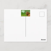 Moo! Cute koe wenst een versoepeld Briefkaart voor (Achterkant)