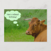 Moo! Cute koe wenst een versoepeld Briefkaart voor (Voorkant)