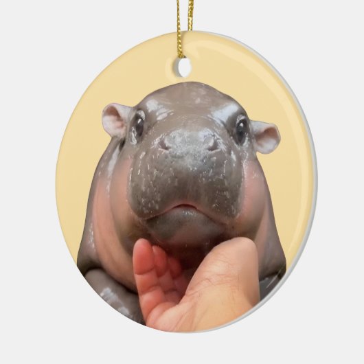 Moo Deng 2024 Keramisch Ornament (Links)