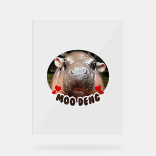MOO-DENG DE BEROEMDE BABY PIGMY HIPPO MOODENG - UI ACRYL BORD