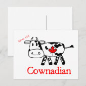 Moo, Eh Briefkaart (Voorkant / Achterkant)