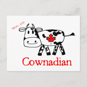 Moo, Eh Briefkaart
