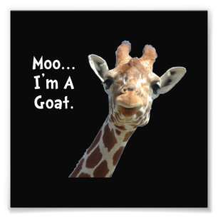 Moo Giraffe Goat Foto Afdruk
