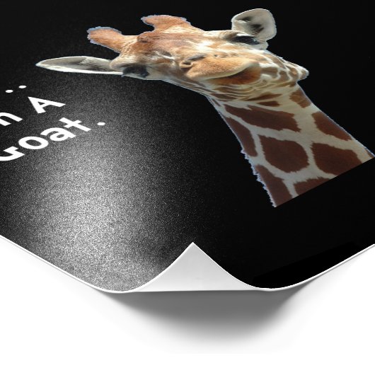 Moo Giraffe Goat Foto Afdruk (Hoek)