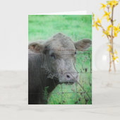 Moo! Hoe gaat het? Kaart (Gele Bloem)