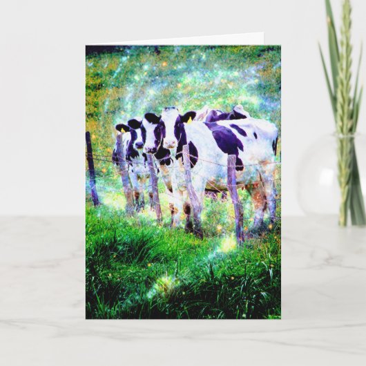 Moo, hoe gaat het? kaart (Voorkant)