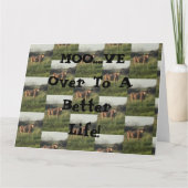 Moo...Ik ben er. Kaart (Voorkant)