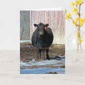 Moo Kaart (Gele Bloem)