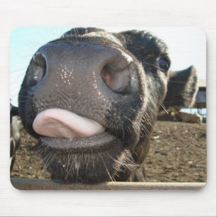 MOO KISSES MUISMAT