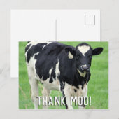 Moo Koe Dank u Briefkaart (Voorkant / Achterkant)