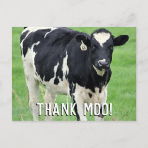 Moo Koe Dank u Briefkaart
