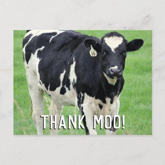 Moo Koe Dank u Briefkaart (Voorkant)