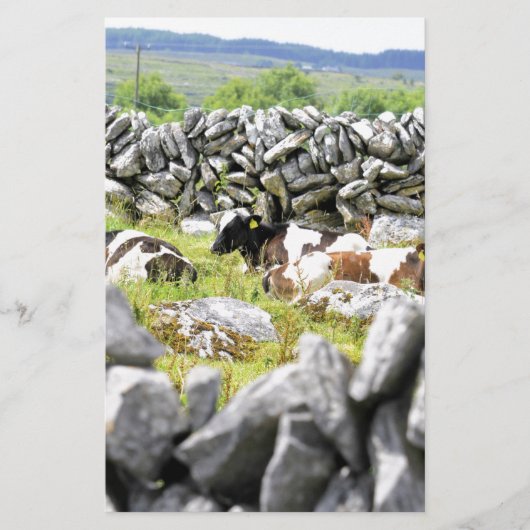 Moo Koeien Briefpapier (Voorkant)