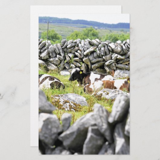 Moo Koeien Briefpapier (Voorkant / Achterkant)