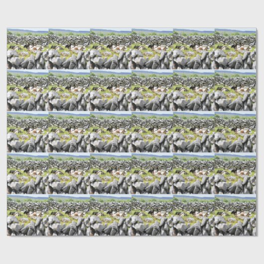 Moo Koeien Cadeaupapier (Vlak)