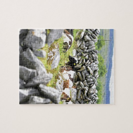 Moo Koeien Legpuzzel (Horizontaal)