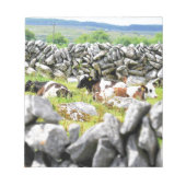 Moo Koeien Notitieblok (Voorkant)