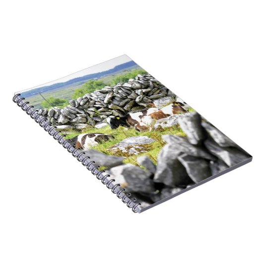 Moo Koeien Notitieboek (Rechterzijde)