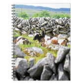 Moo Koeien Notitieboek (Voorkant)