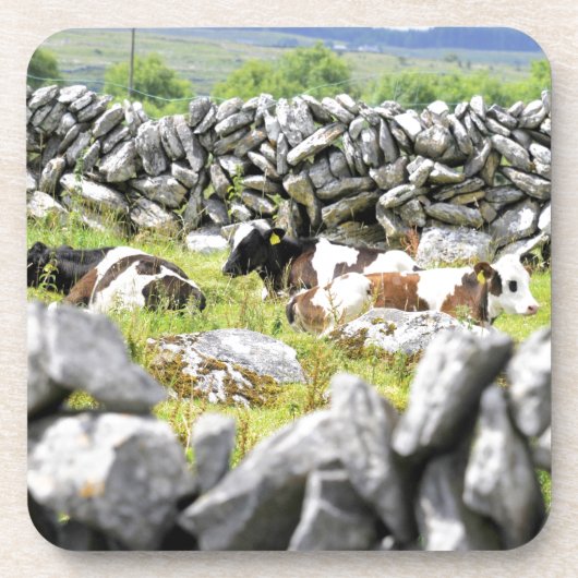 Moo Koeien Onderzetter (Voorkant)