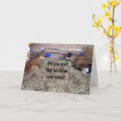 MOO-KOEIEN PRATEN OVER JE VERJAARDAGSWENS KAART (Gele Bloem)