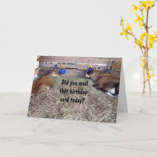 MOO-KOEIEN PRATEN OVER JE VERJAARDAGSWENS KAART (Gele Bloem)