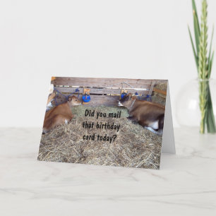 MOO-KOEIEN PRATEN OVER UW BIRTHDAY WISH KAART