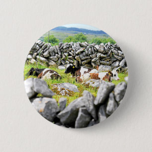 Moo Koeien Ronde Button 5,7 Cm