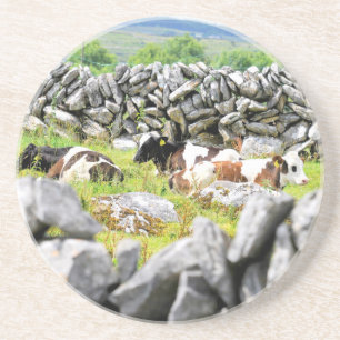 Moo Koeien Zandsteen Onderzetter